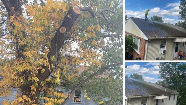 Cabral Tree & Construction Inc