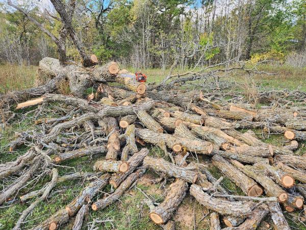 Lumber Joe Tree Services