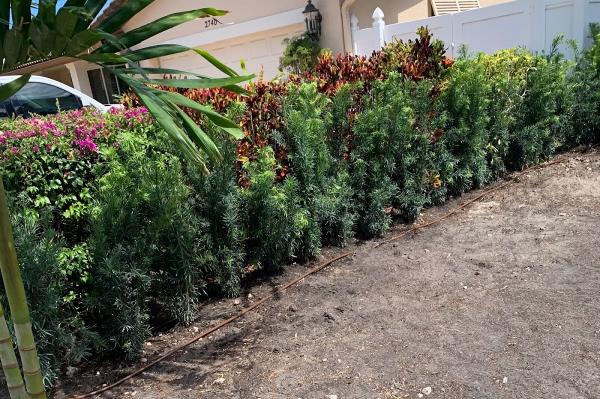 Water Wise Landscape Solutions
