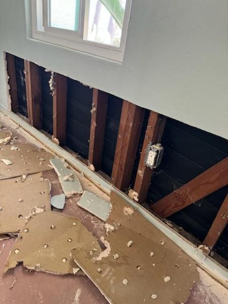 Mold Safe Solutions