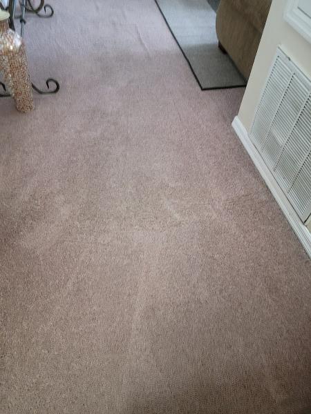 Divine Care Carpet Cleaning