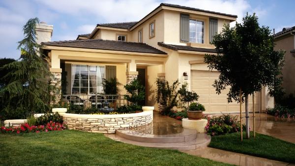Living Trees & Shrubs