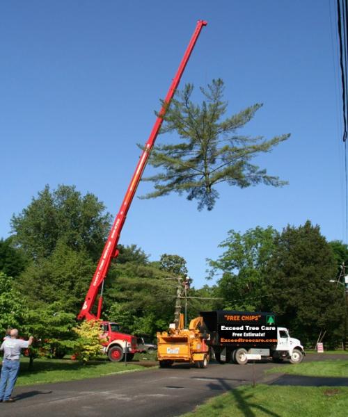 Exceed Tree Care
