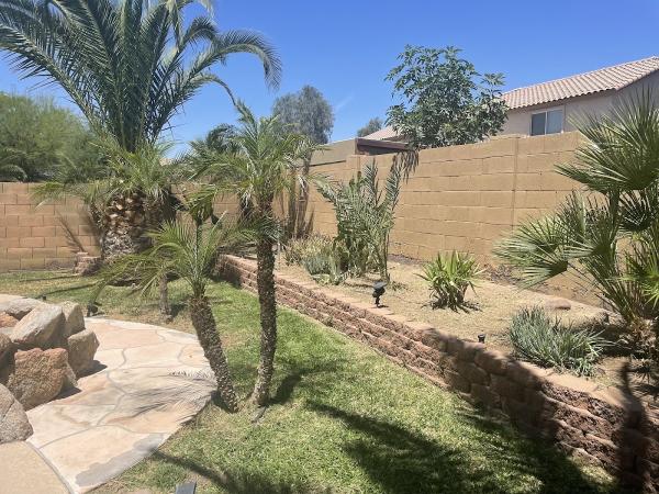 Alex Landscaping Services