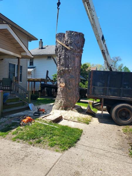 Ruiz Tree Service