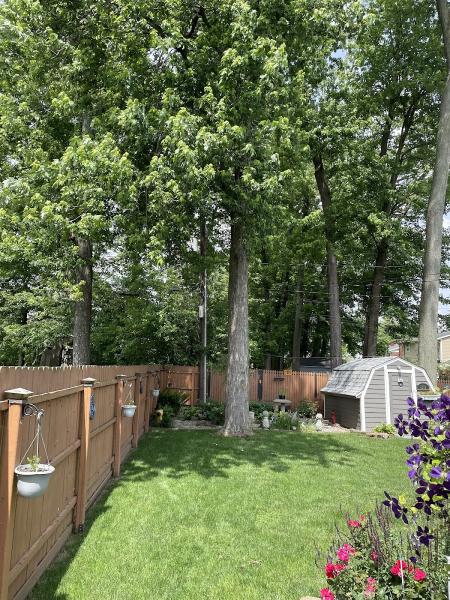 Ruiz Tree Service