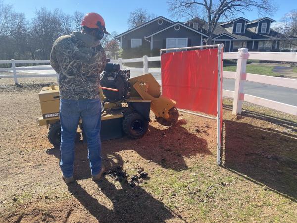 Bubba's Stump Grinding