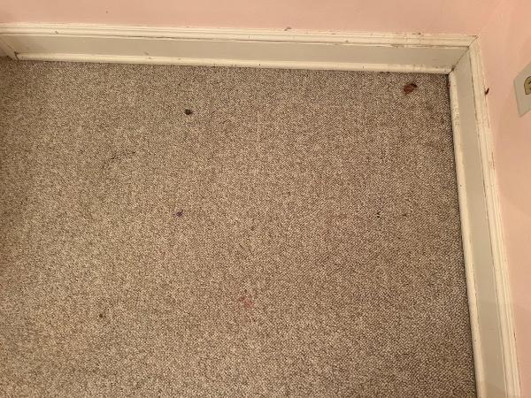 Menomonee Falls Carpet Cleaning