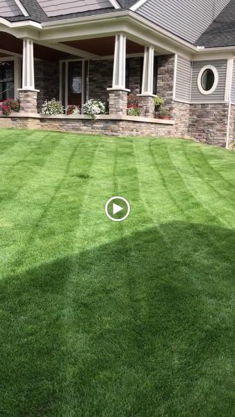 Reliable Outdoor Maintenance