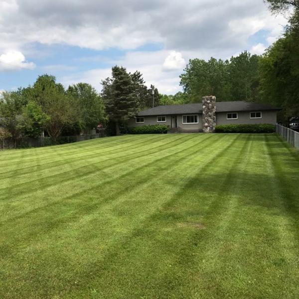 Reliable Outdoor Maintenance