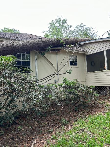 Diaz's Tree Service