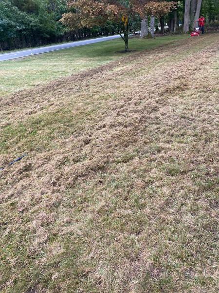 NTO Lawn Care & Landscaping Llc