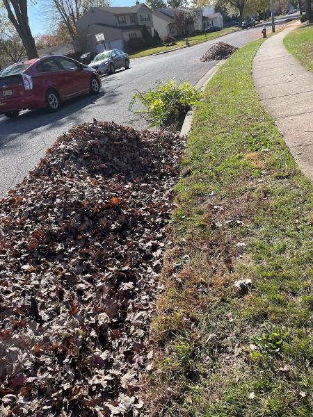 NTO Lawn Care & Landscaping Llc