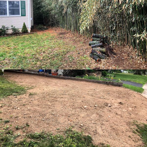 Professional Bamboo Landscapers LLC