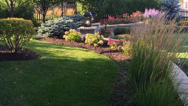 Elite Landscape Services