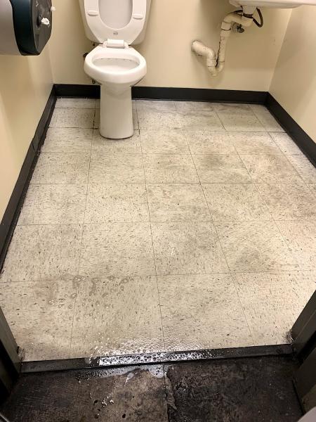 Regal Cleaning Services