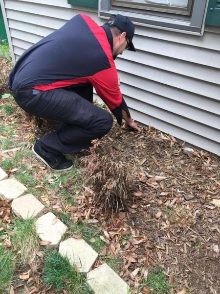 Titletown Pest Pros