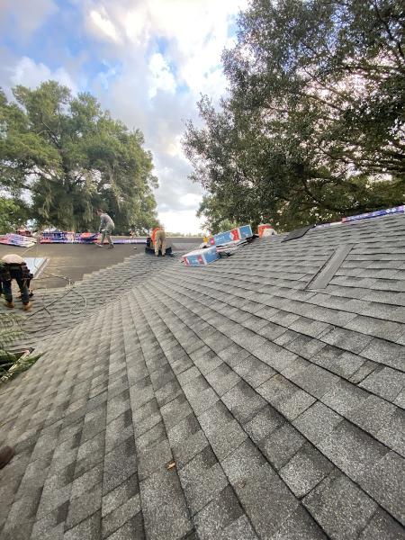 Bodan Roofing