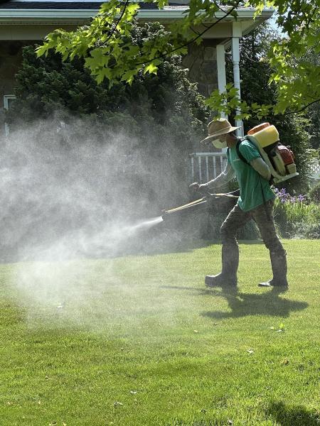 Lawn King