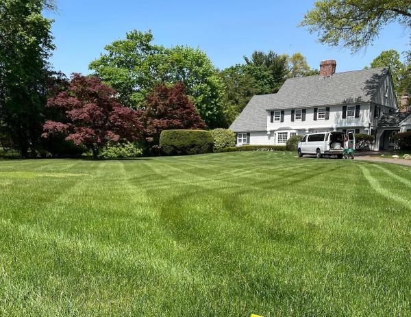 Lawn King