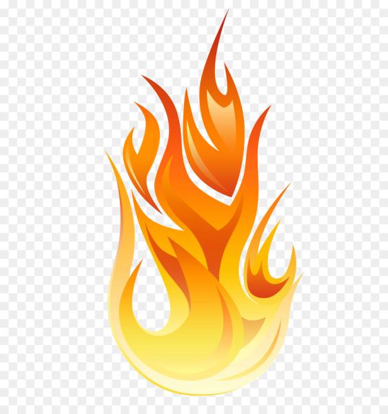 Resto-Water Damage Mold & Fire