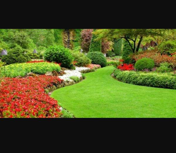 Turf Team