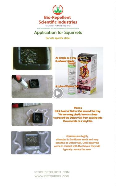 Detour Gel Rat Repellent