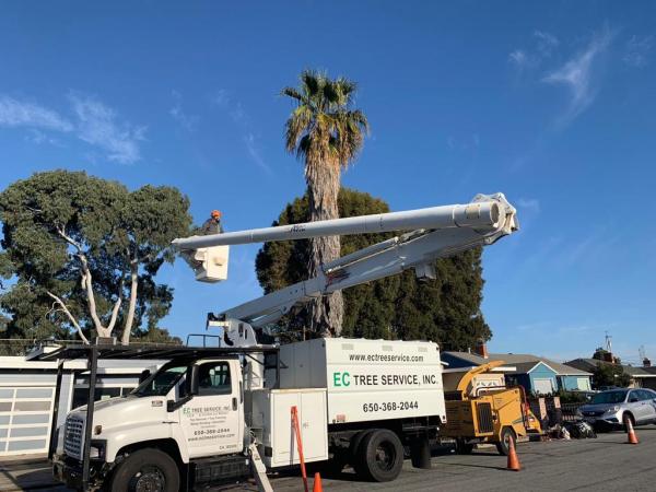 EC Tree Service Inc
