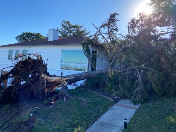 EC Tree Service Inc