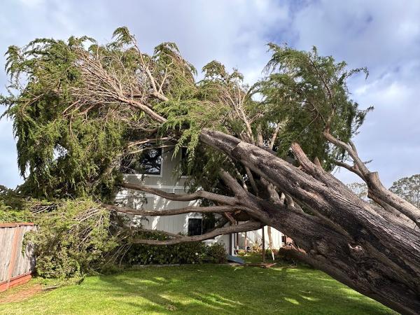 EC Tree Service Inc