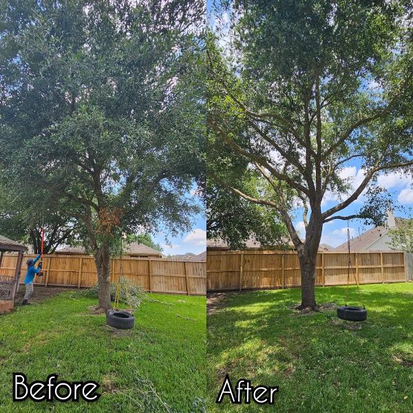 Hunters Tree Service