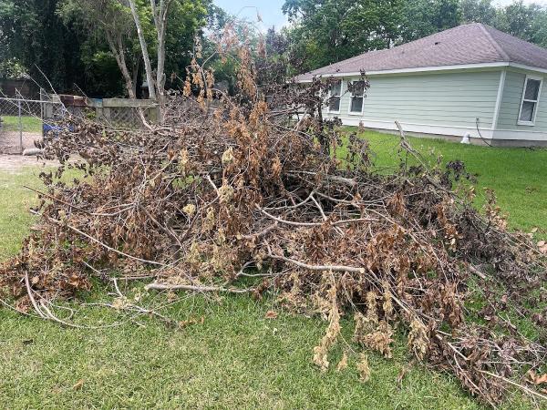 Hunter's Tree Service LLC