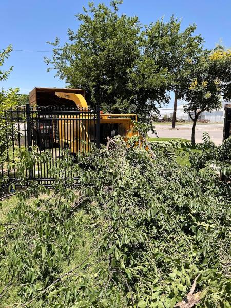 TLC Tree and Lawn Care