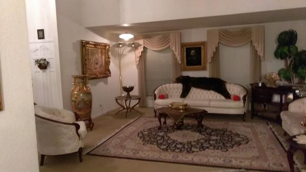 Glorioso Design