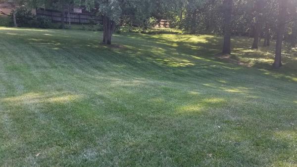 L&S Lawn Services