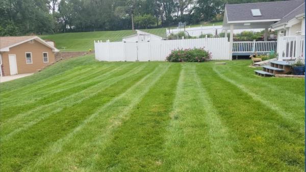 L&S Lawn Services