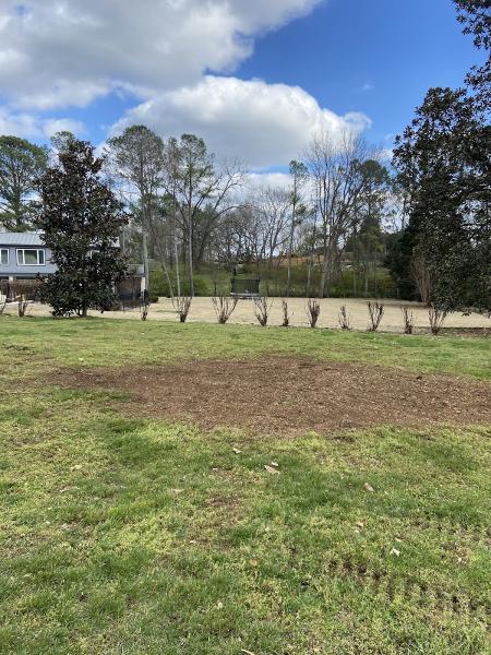 Stump Professionals