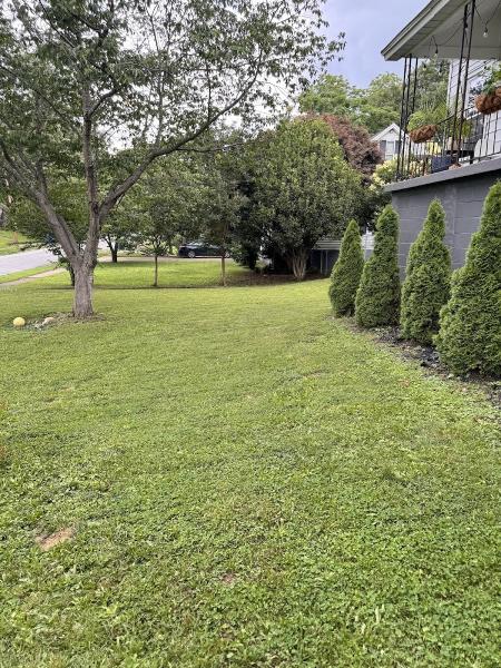 Crawford and Son's Lawn & Maintenance Llc.