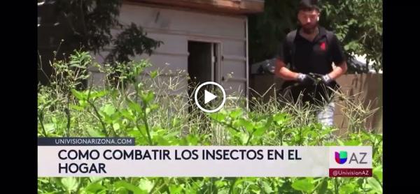 Exterminator