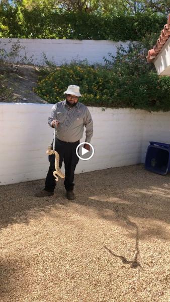 Rudy's Termite & Pest Control