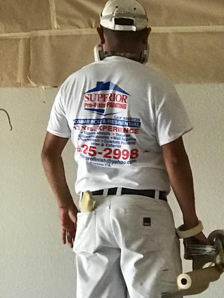 Superior Pro Finish Painting