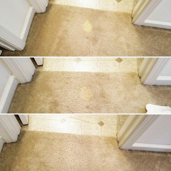 Ardent Carpet Restore