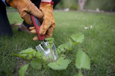 Athens Lawn Care and Service