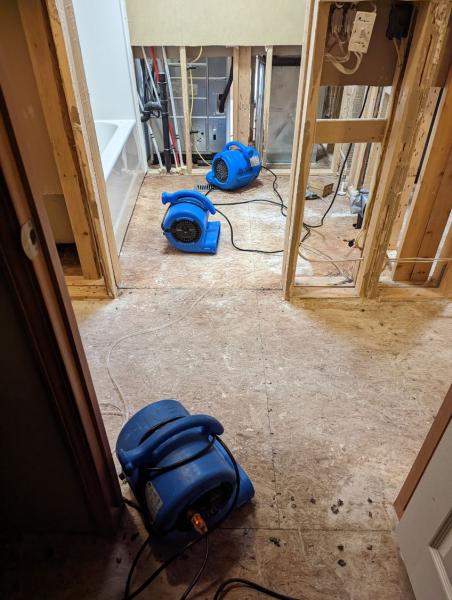 All Star Carpet Cleaning & Restoration