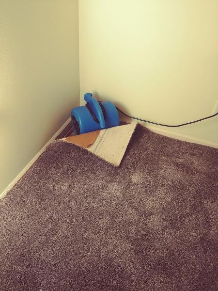 All Star Carpet Cleaning & Restoration