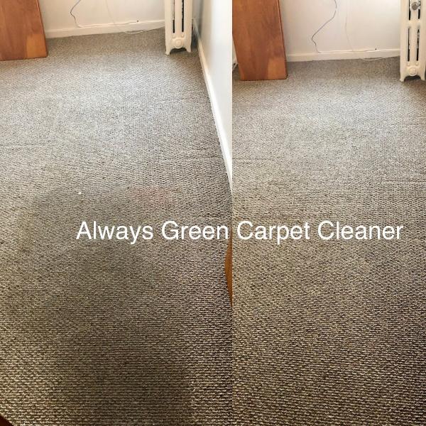 Always Green Carpet Cleaner