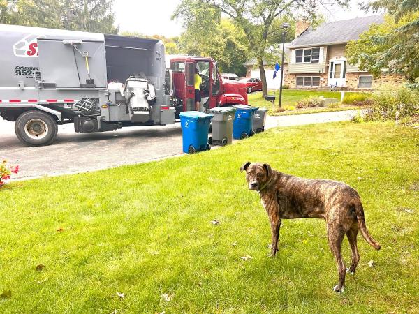 Suburban Waste Services