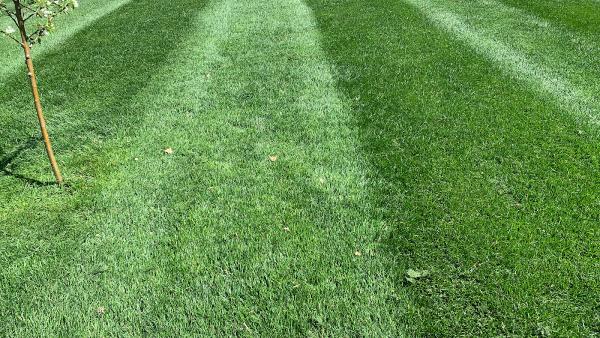 Van Oosten Lawn Service LLC