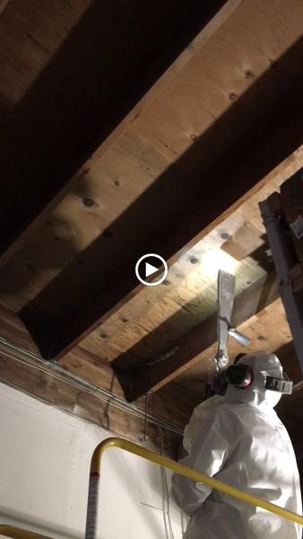 Quality Water Damage Restoration