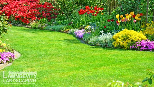 Lawngevity Landscaping